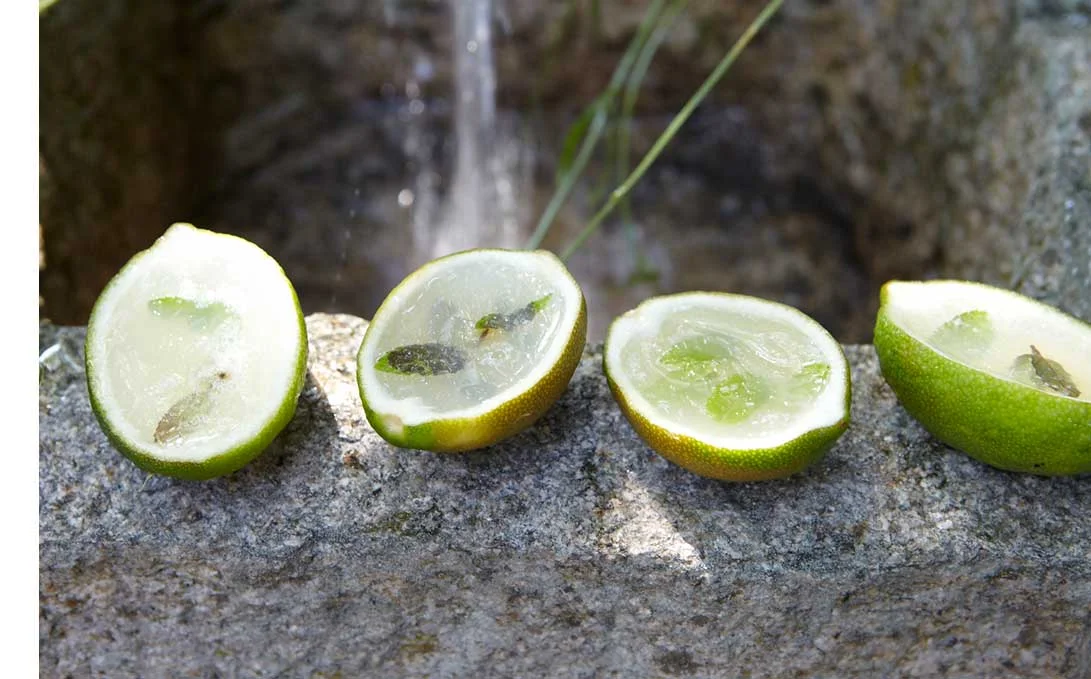 mojito jelly