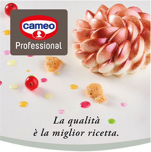 Cameo professional banner mobile