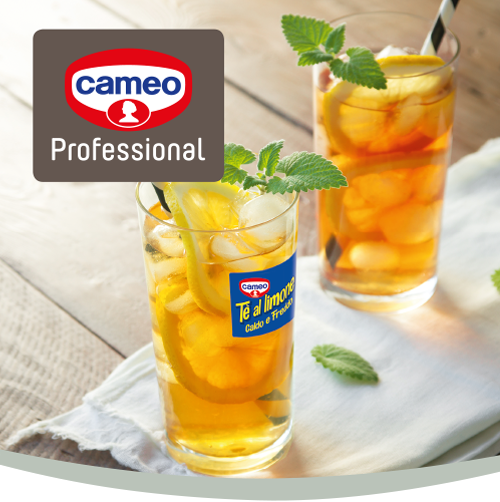 Cameo professional banner mobile